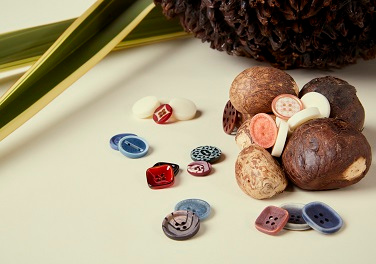 Corozo Buttons